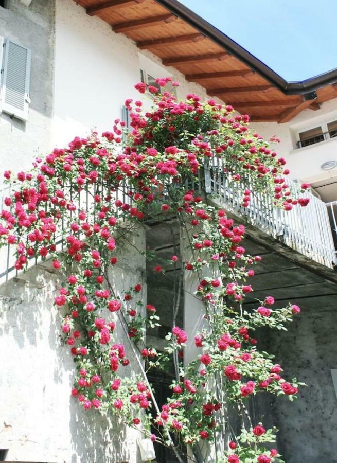 "Il Cortile" Apartment Colico Exteriör bild